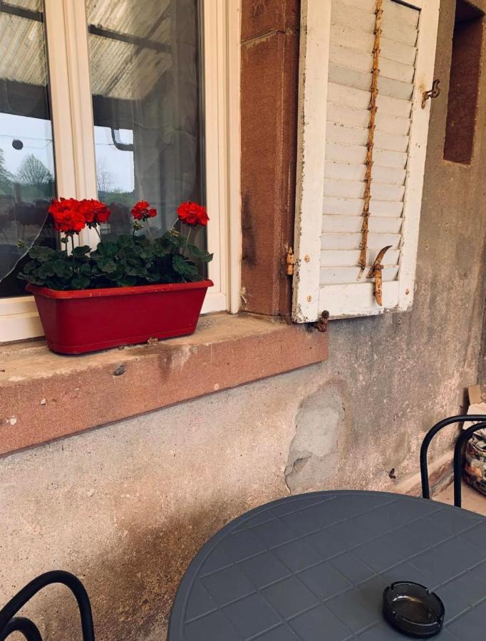 Appartement Avec Terrasse Privative Celles-sur-Plaine Kültér fotó